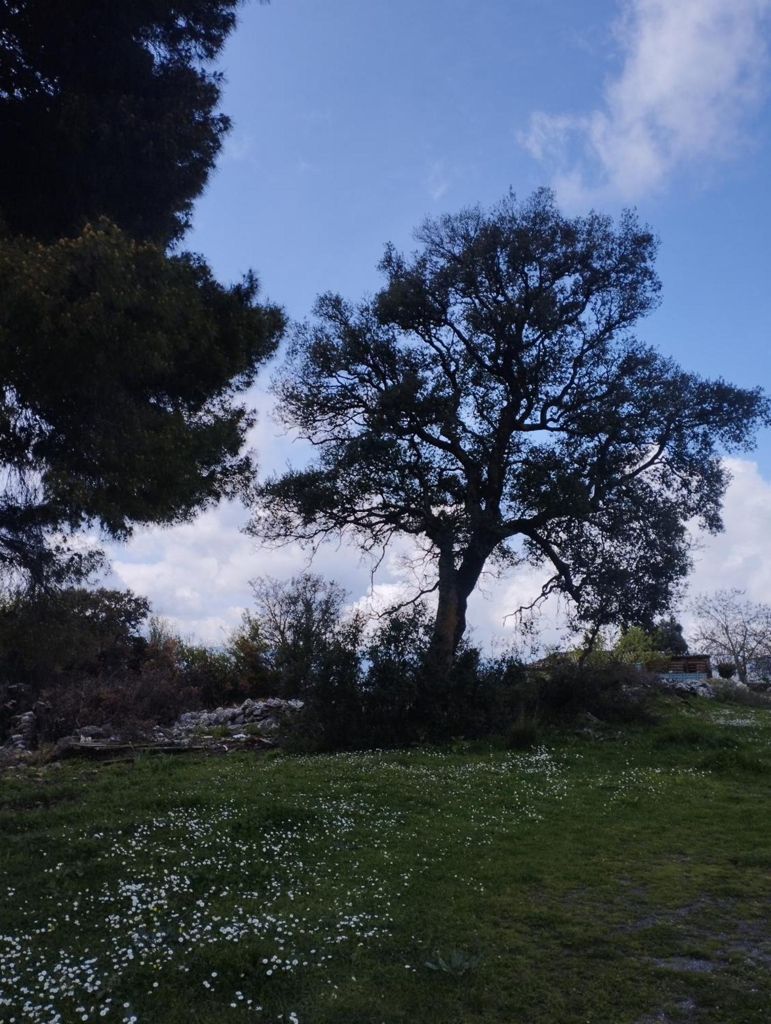 Ellinikón Sofias Cottage מראה חיצוני תמונה